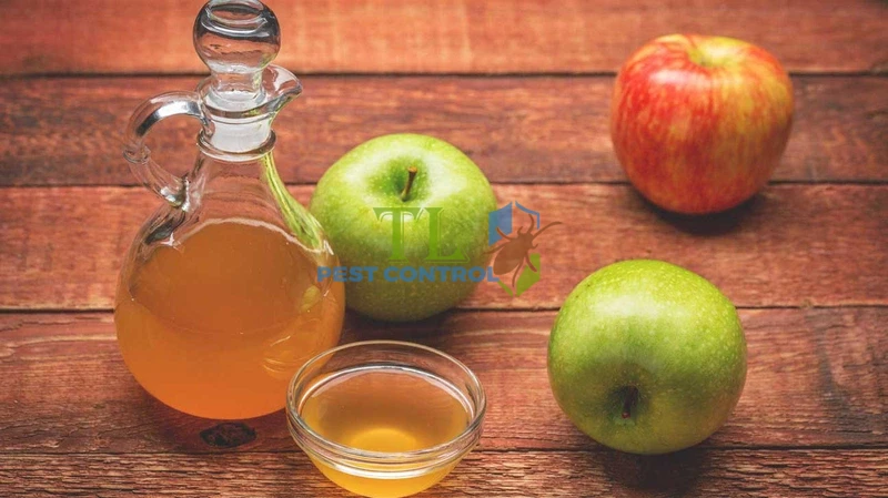 cách đuổi ong bắp cày