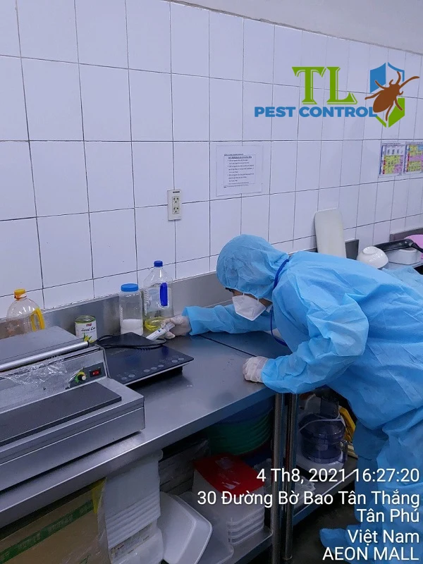dịch vụ diệt gián mỹ