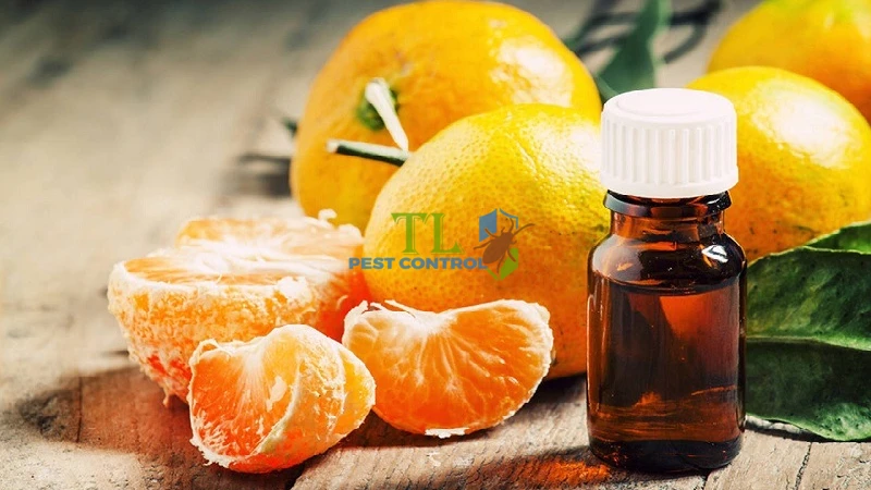 đuổi gián bằng tinh dầu