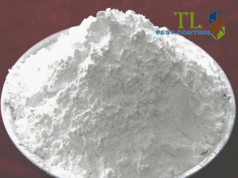 cách diệt gián đất