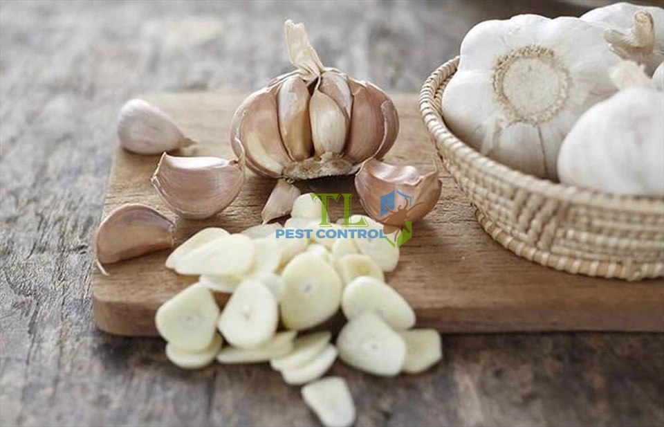 cách diệt chuột phá rau