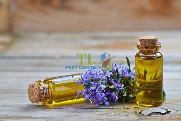 cách đuổi ruồi ở quán ăn