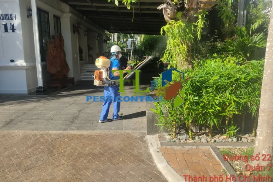 #5+ Địa Chỉ Diệt Côn Trùng Huyện Hóc Môn Uy Tín, Giá Tốt