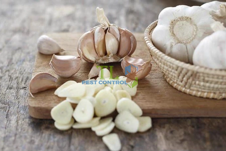 #Cách Đuổi Ruồi Bằng Tỏi Tại Nhà, An Toàn, Hiệu Quả