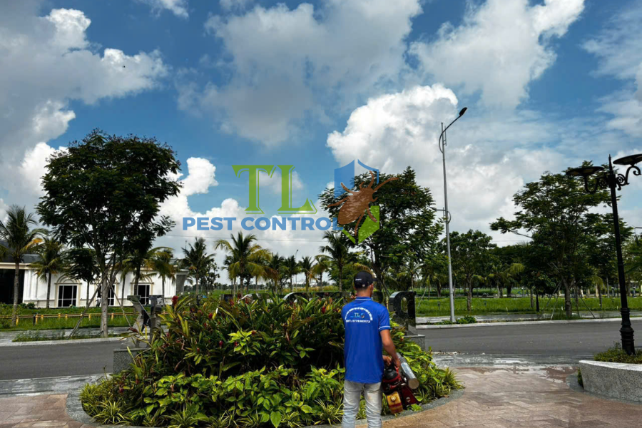 Diệt mối phường Tân Hưng