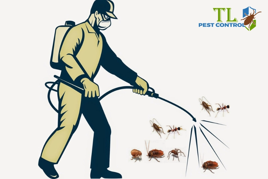 # Quy Trình Diệt Côn Trùng Đạt Tiêu Chuẩn Theo Bộ Y Tế