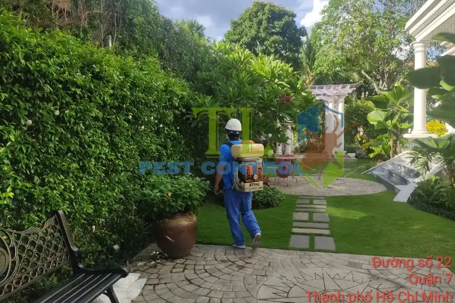 dịch vụ diệt sâu róm