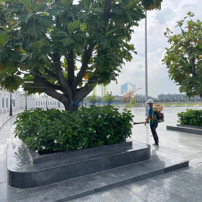 Diệt muỗi quận 8