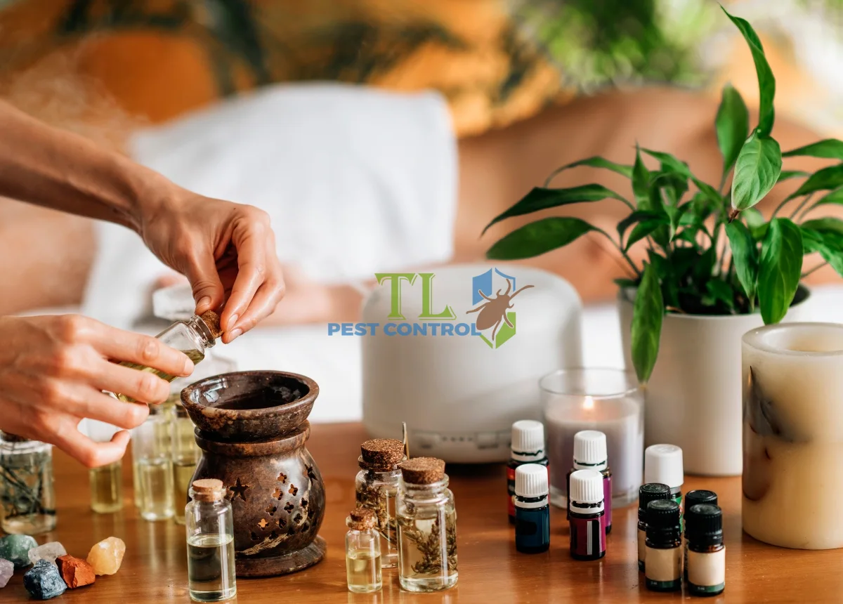 cách đuổi ong ruồi ra khỏi nhà