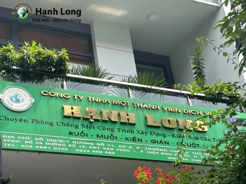 dịch vụ diệt mối quận 3