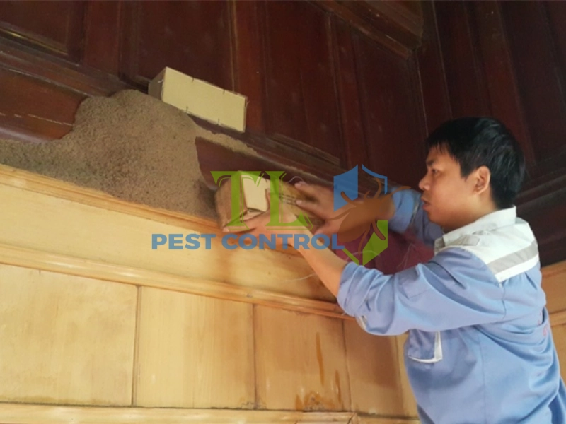 diệt mối cửa gỗ