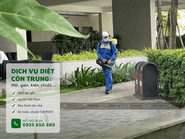 dịch vụ diệt muỗi