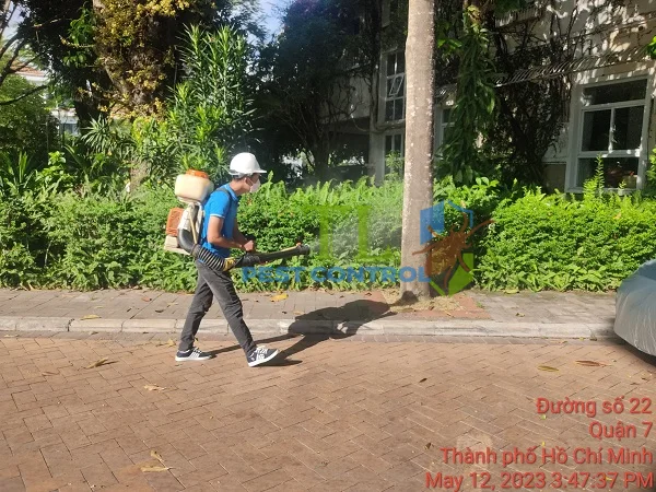 diệt muỗi quận 7