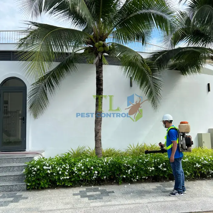 Dịch vụ phun diệt côn trùng