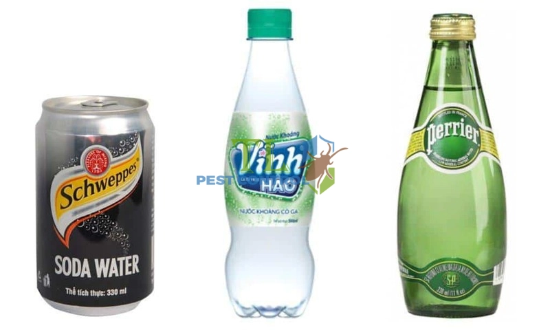 cách đuổi ong bắp cày
