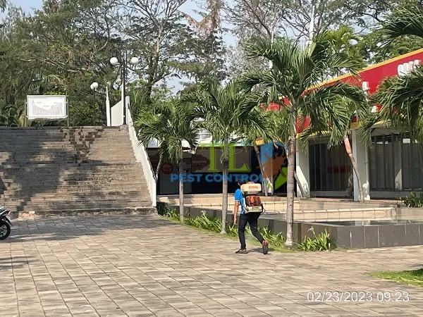 diệt muỗi quận 2
