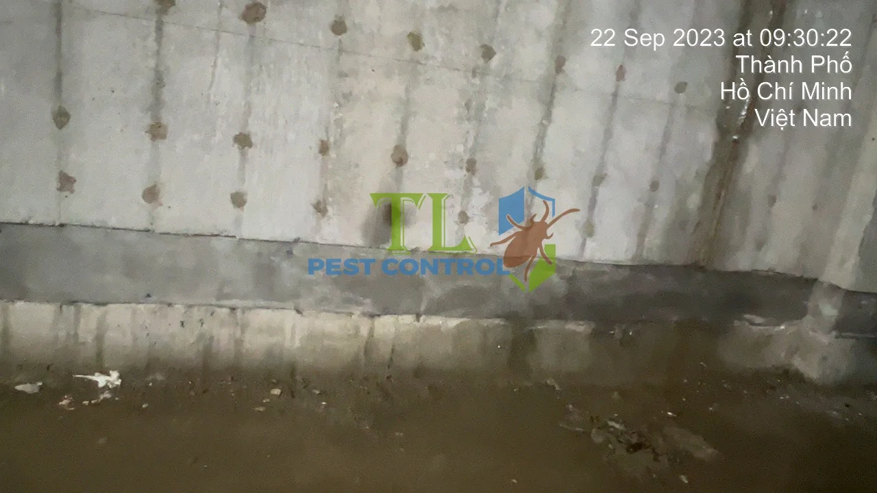 lưới thép không gỉ Termsteel