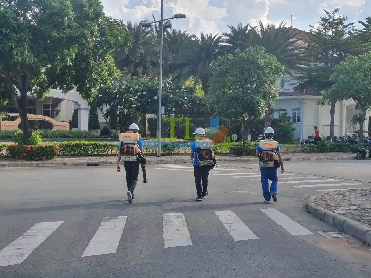 công ty diệt mối