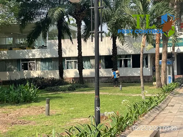 diệt muỗi quận 2