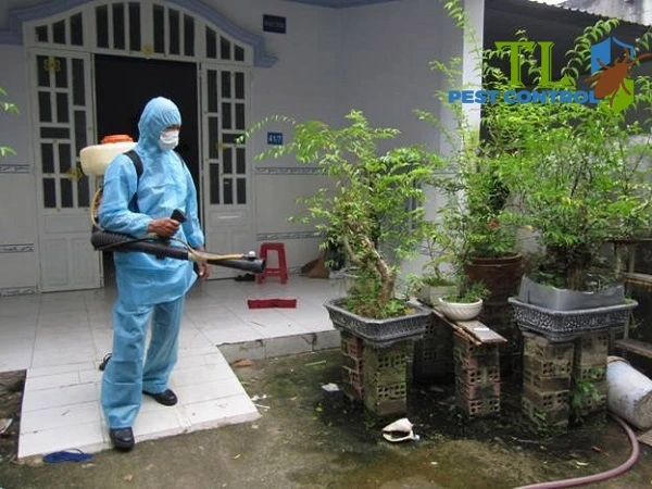 Dịch vụ diệt rầy