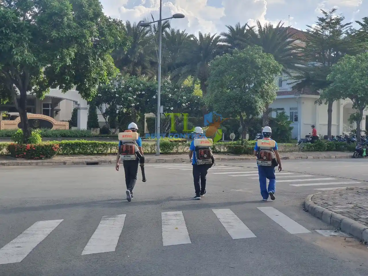 diệt mối tại quận 6