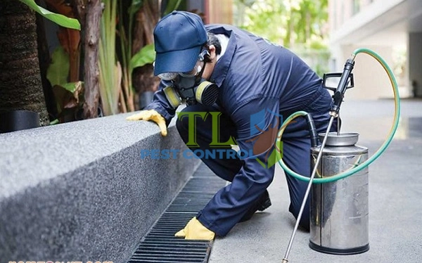 diệt muỗi quận bình tân