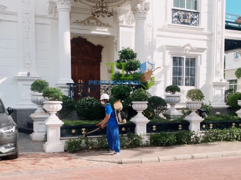 diệt mối resort