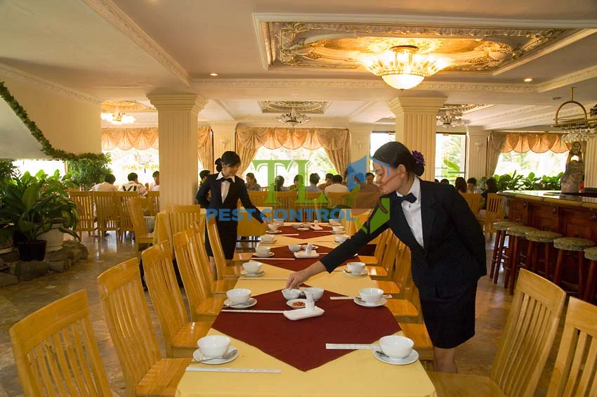 diệt muỗi cho khách sạn