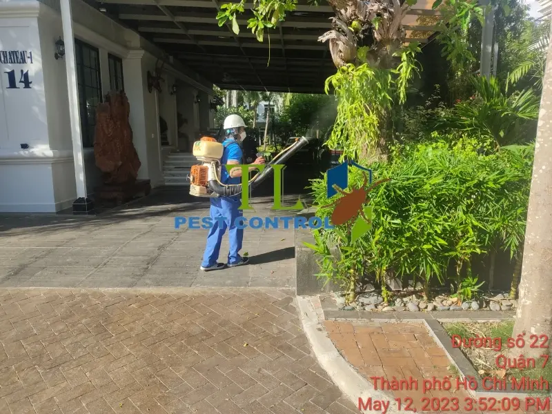 diệt côn trùng đồng nai