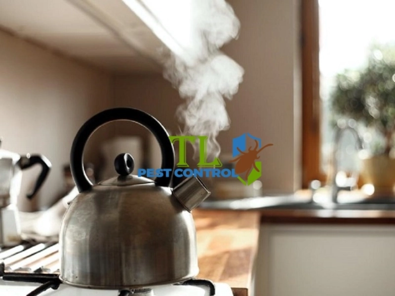Đổ nước sôi xuống ống cống nhà vệ sinh diệt trứng ruồi cống