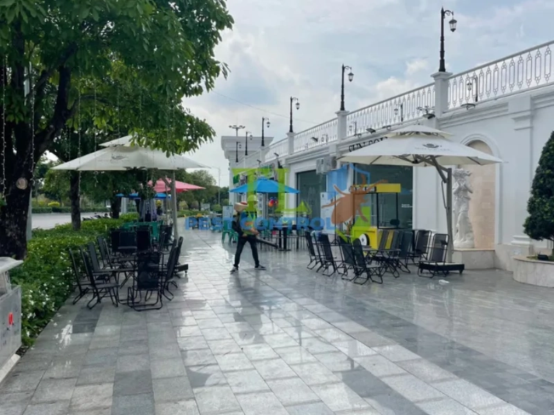 diệt mối cho quán cà phê