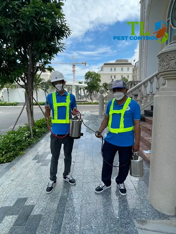 diệt muỗi quận tân bình