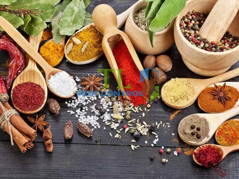 mùi hương đuổi kiến
