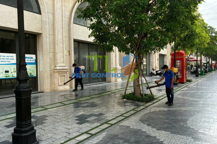 Diệt mối phường An Phú Đông
