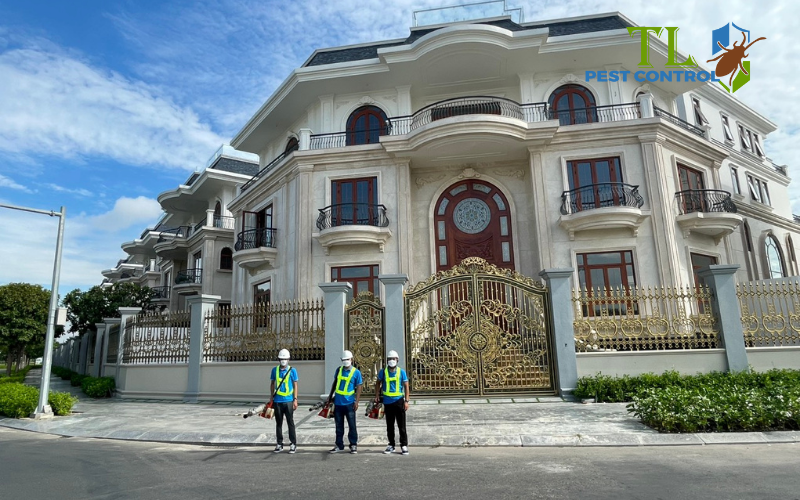 Lịch trình kiểm tra định kỳ từ Trần Long