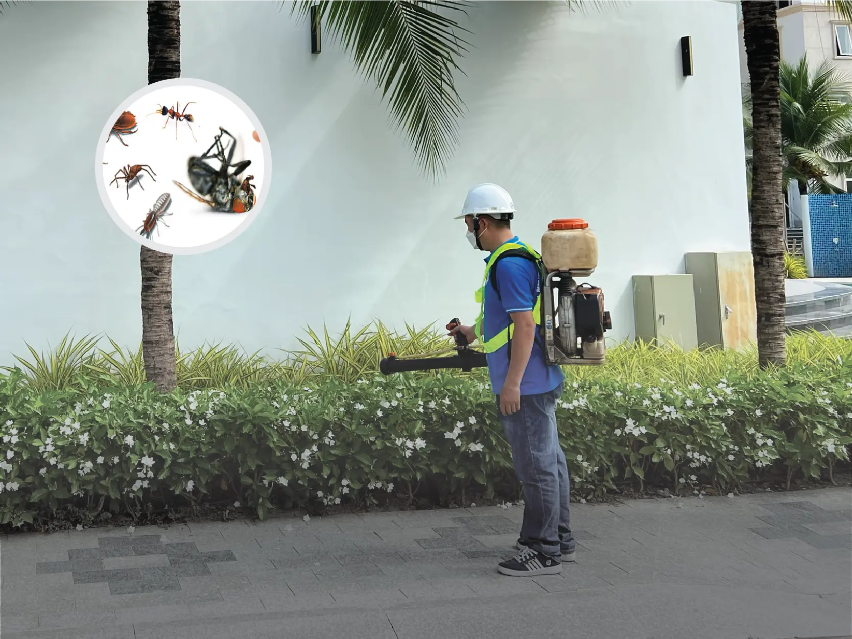 Dịch vụ diệt côn trùng