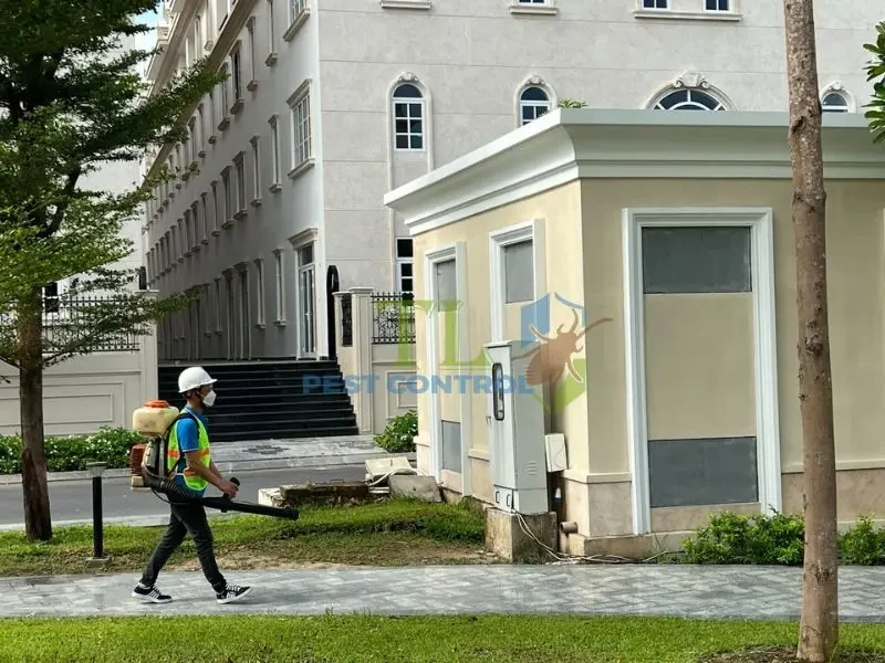 diệt mối quận 12