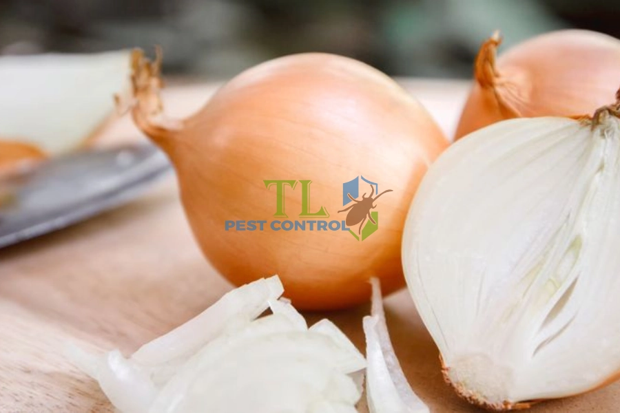 Hướng Dẫn Cách Đuổi Gián Bằng Hành Tây Dễ Thực Hiện