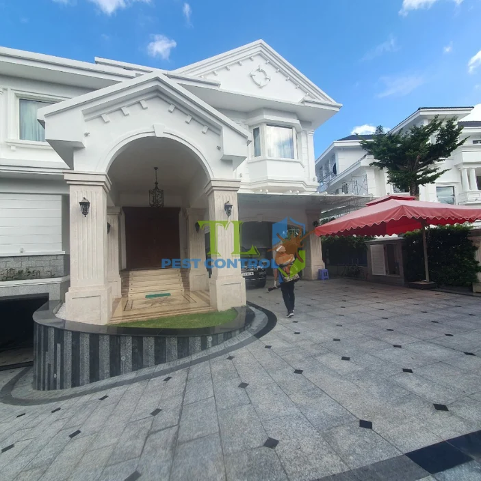 Giá Diệt Mối Cho Công Ty