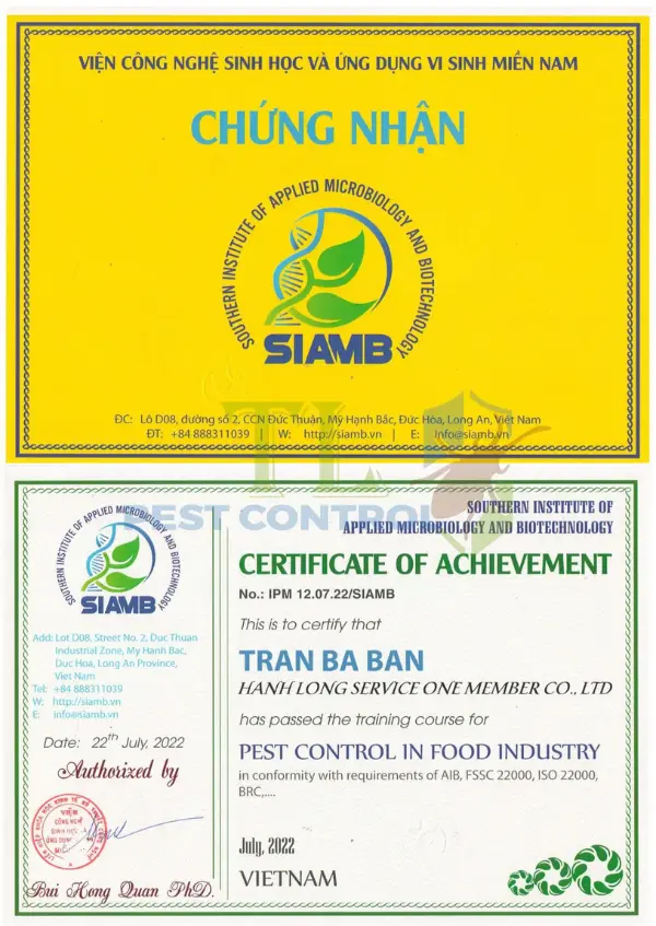 Dịch vụ diệt chuột