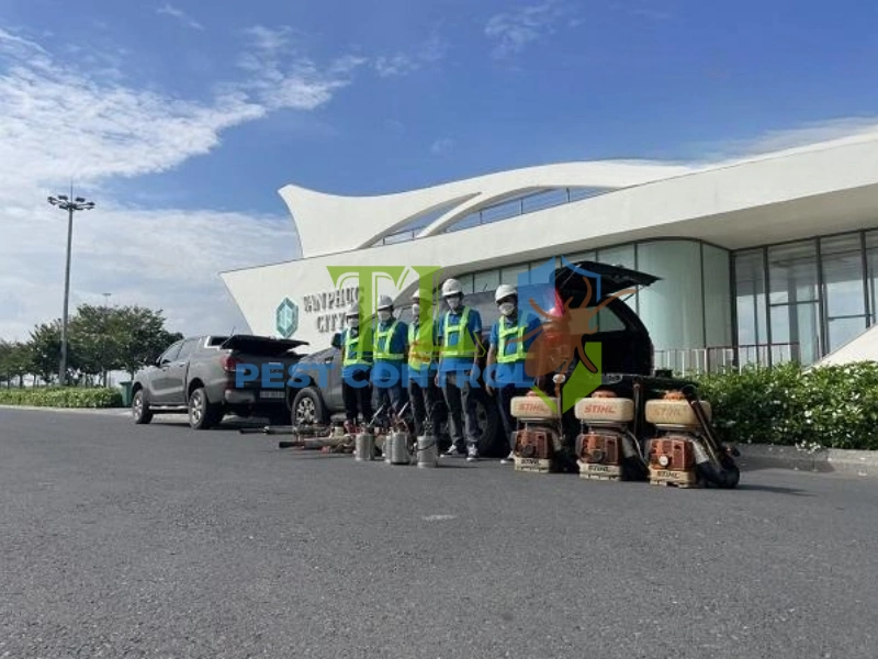 diệt mối cho khách sạn