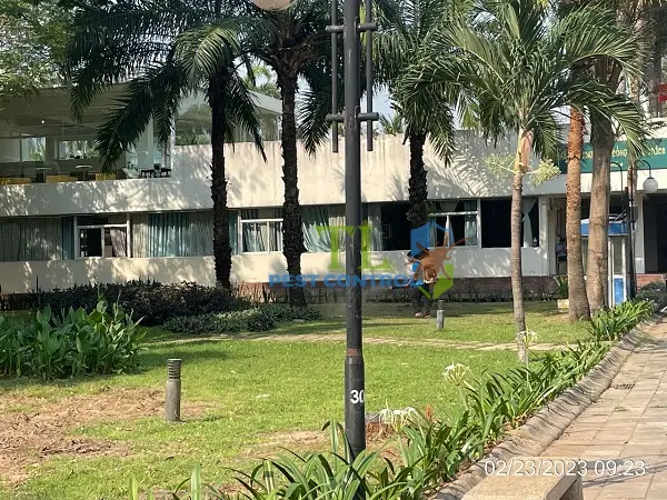 diệt muỗi quận 12