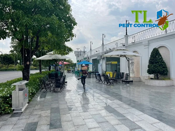 dịch vụ diệt muỗi