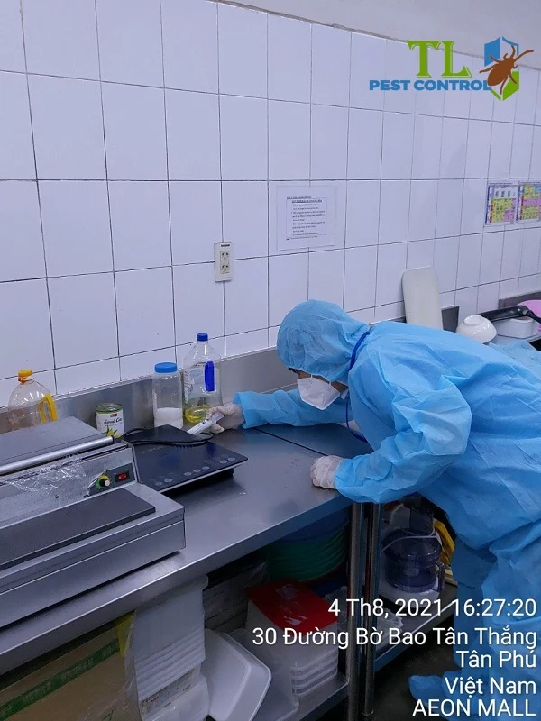 dịch vụ diệt gián