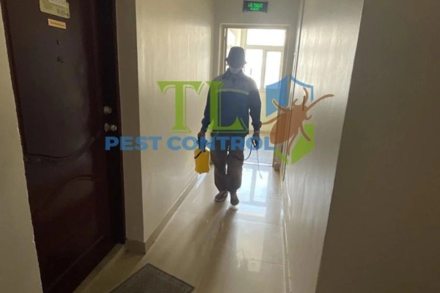 Dịch vụ diệt ve chó