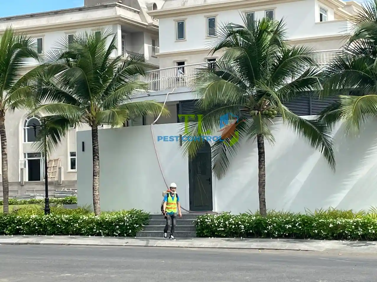 địa chỉ diệt mối uy tín