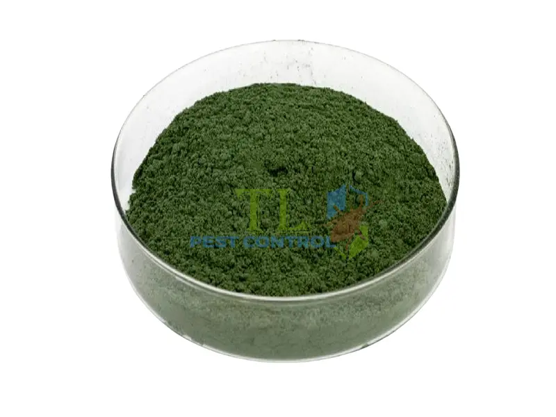  Diệt mối bằng bả sinh học