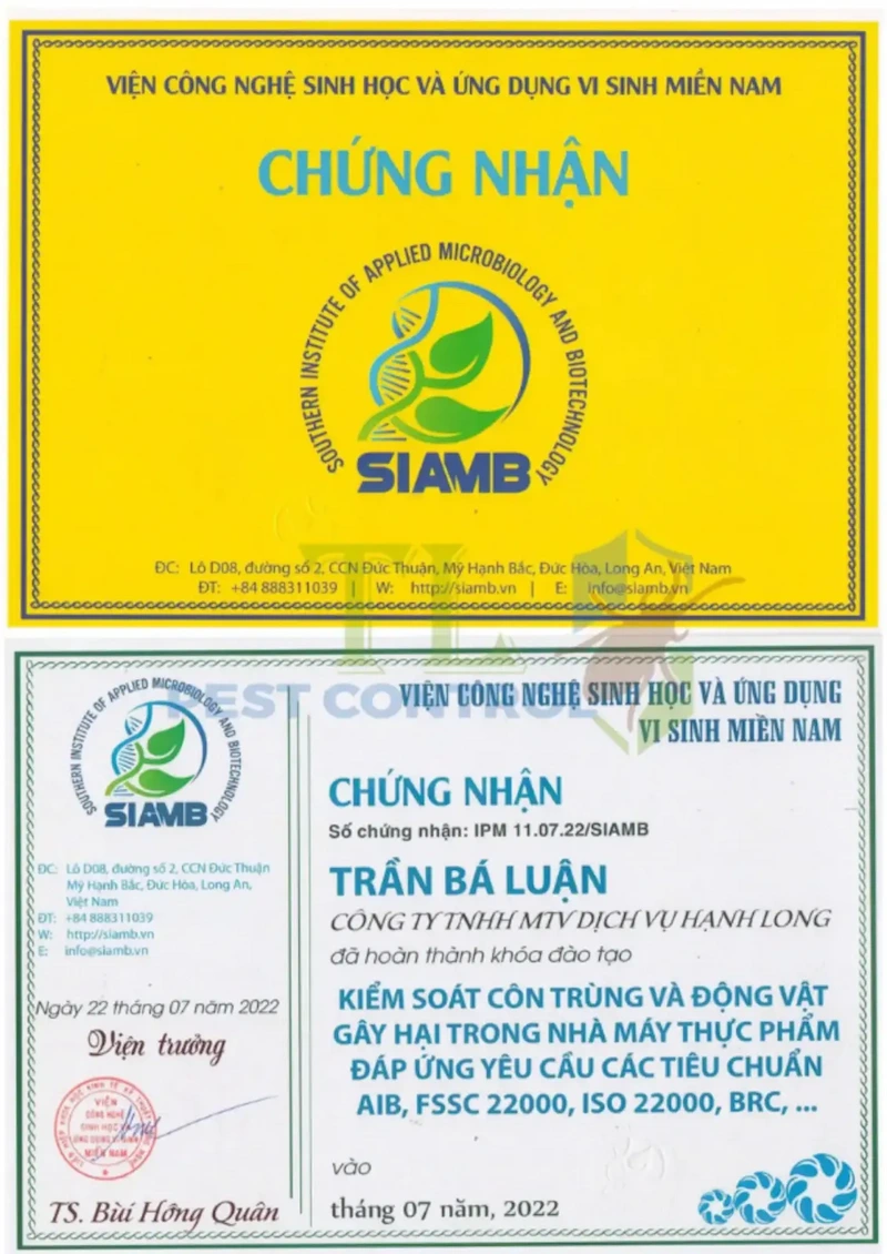 diệt mối cho công ty