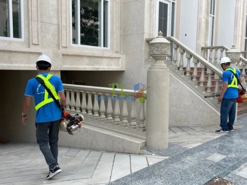 dịch vụ diệt rệp