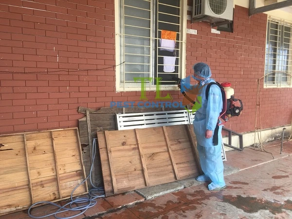 diệt muỗi quận 3